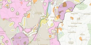 Mapping the town for its wildlife