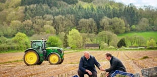 Blaze at M&S TV ad farm blamed on faulty equipment  