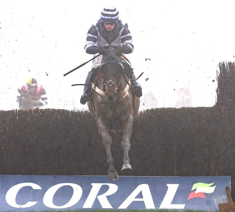 Katate Dori - seen winning at Chepstow in January - is a big hope for the Cheltenham Festival