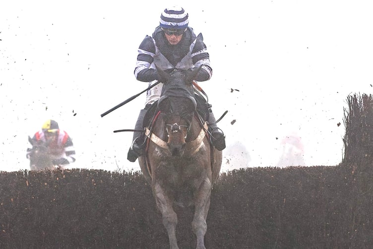 Katate Dori - seen winning at Chepstow in January - is a big hope for the Cheltenham Festival