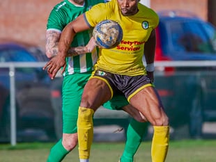 Daffs flower in Spring sunshine with last-gasp winner