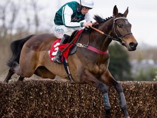  L'Homme Presse National hope after Gold Cup woe  