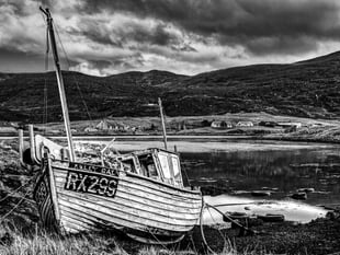 Top images from Ross Photo Club photographers 