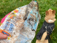 Historic crisp packet found during litter clean-up