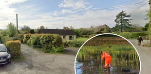 Location of third new wetland revealed