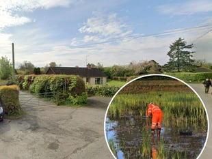 Location of third new wetland revealed