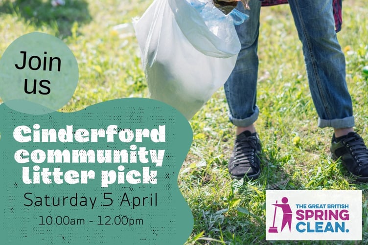 Litter pick