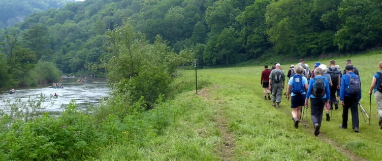 walkers in Ross