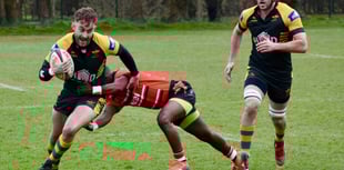 Green Army draw comfort from end of winning run