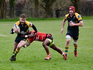 Green Army draw comfort from end of winning run