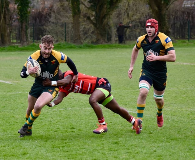 Green Army draw comfort from end of winning run