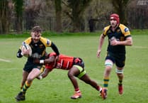 Green Army draw comfort from end of winning run