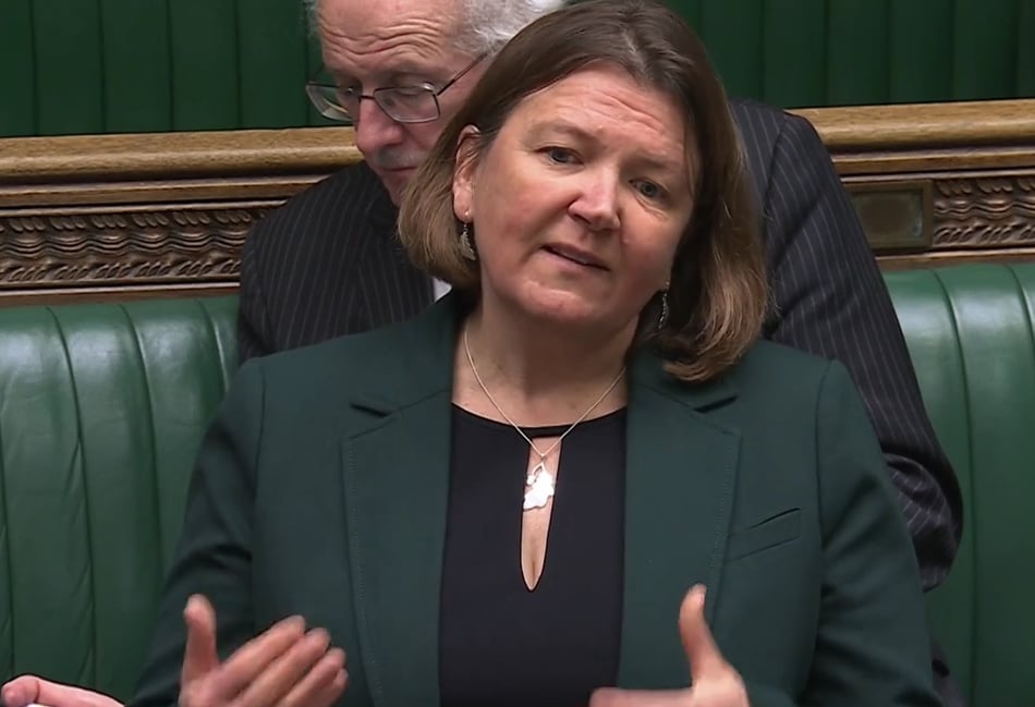 Green Parliamentary leader Chowns slams Trump over Greenland tariff