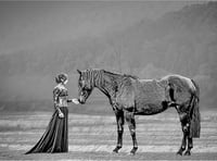 Ross Photo Club's final print results