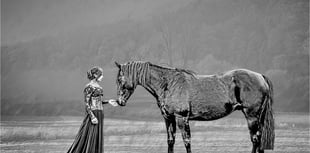 Ross Photo Club's final print results