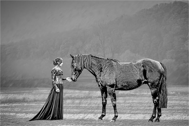Ross Photo Club's final print results