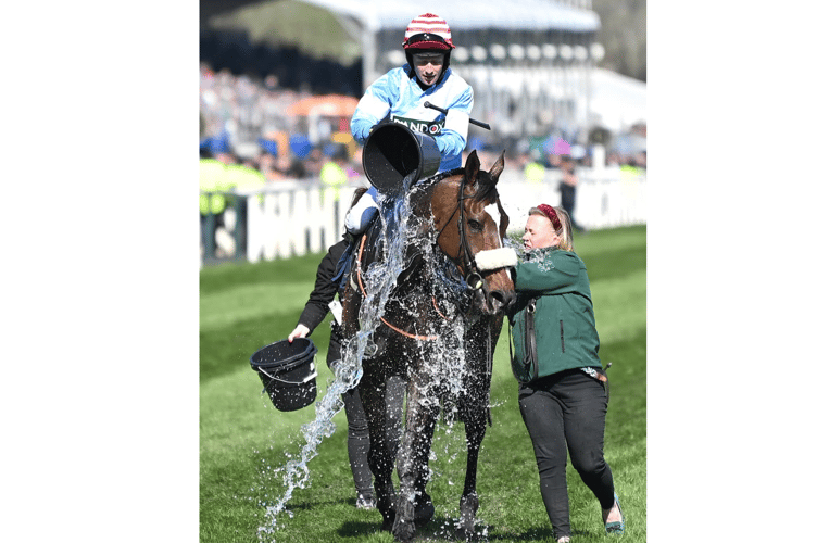 Jockey Stan Sheppard cools down Cruz Control after victory at Aintree