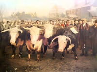 The Past in Colour 
