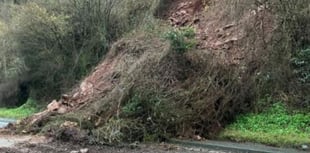 Dormice threaten A40 rockfall repairs