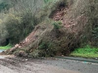 Dormice threaten A40 rockfall repairs