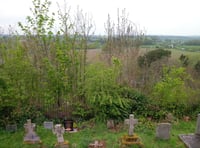 Iconic view from Prospect obstructed by trees