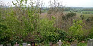 Iconic view from Prospect obstructed by trees