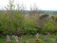 Iconic view from Prospect obstructed by trees