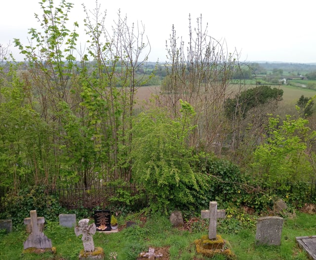 Iconic view from Prospect obstructed by trees