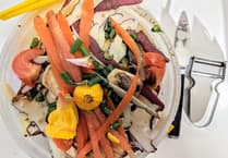 Kerbside food and garden waste collections to gain approval