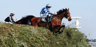 O'Shea's Cheltenham contenders shine