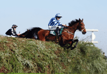 John O'Shea's stars gear up for Cheltenham
