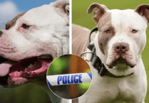 Dog Death: Man Arrested in Malswick