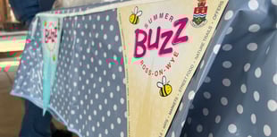 Summer Buzz campaign kicks off in Ross