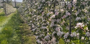 EC Drummond's £1 million investment in new apple store