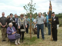 Peace tree planted at Violette Szabó museum
