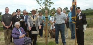 Peace tree planted at Violette Szabó museum