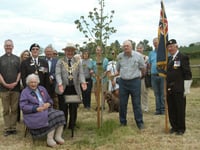 Peace tree planted at Violette Szabó museum