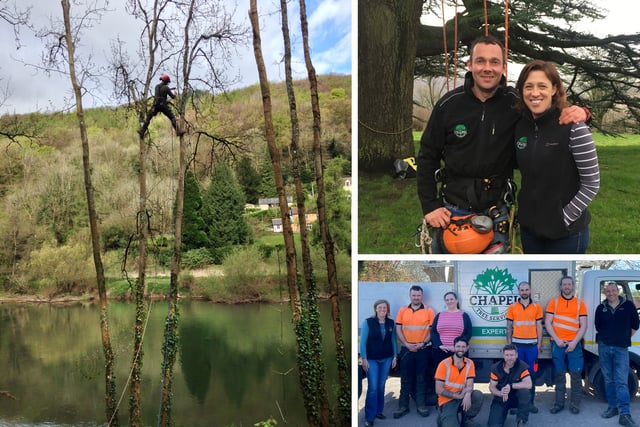 Local company celebrates 20 years of arboriculture