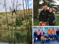 Local company celebrates 20 years of arboriculture