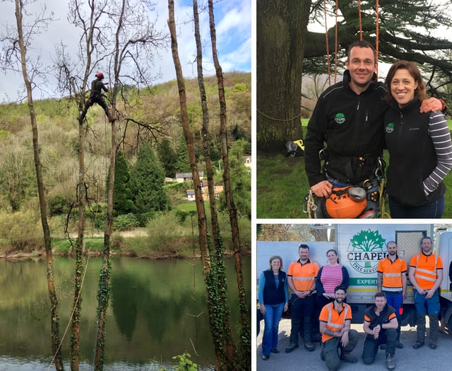 Local company celebrates 20 years of arboriculture