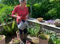 Open Gardens in Ross returns with wildlife focus