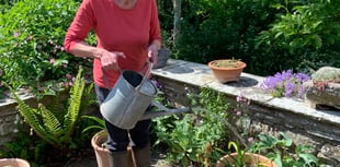 Open Gardens in Ross returns with wildlife focus
