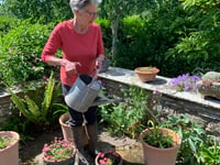 Open Gardens in Ross returns with wildlife focus
