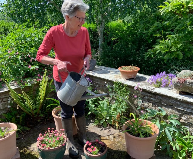 Open Gardens in Ross returns with wildlife focus