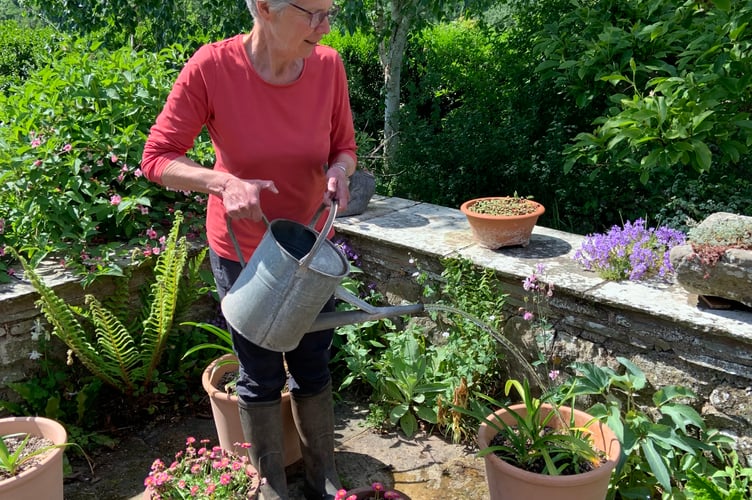 gardening