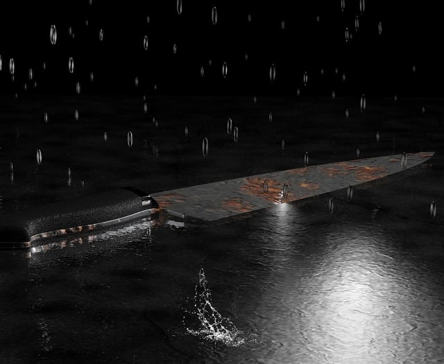 Police commissioner backs knife crime project with £288k