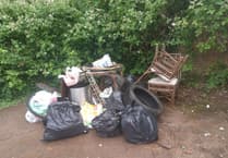 Another instance of fly-tipping in the Forest of Dean