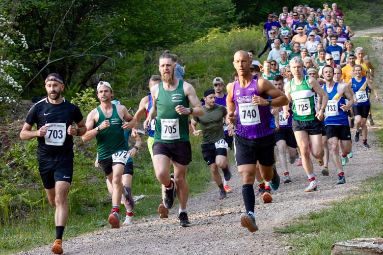Runners head out in the Fountain Five