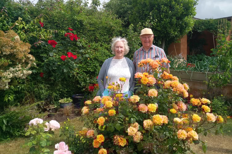Ross Open Gardens