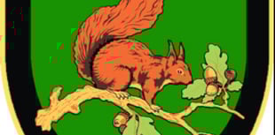 Drybrook chairman Chris stands down